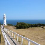 The Economics of Car Depreciation in Leasing: 11xplay online id, India 24 bet login, Sky fair vip