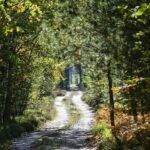 Electric Vehicle Charging Infrastructure: Challenges and Solutions: 11x bet login, India24bet login, Sky fair